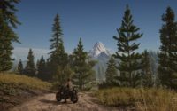 Days Gone