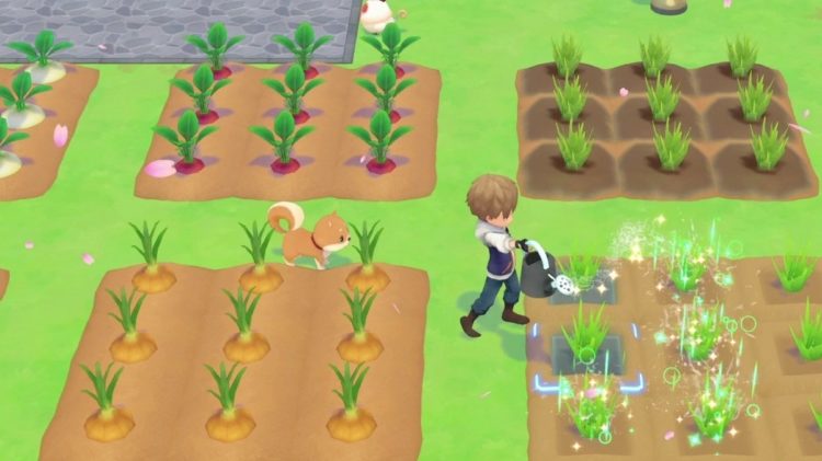 Story of Seasons: Pioneers of Olive Town arriverà su Steam a settembre