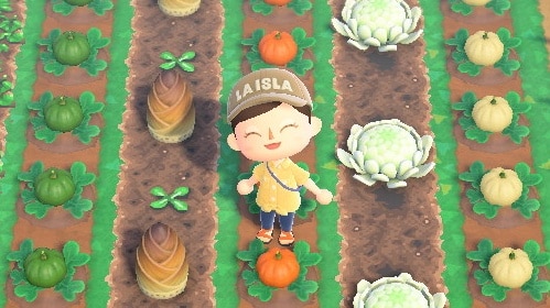 Prendi ispirazione da questo fantastico orto creato in Animal Crossing: New Horizons