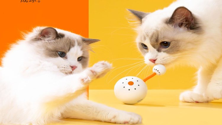 Xiaomi ha appena lanciato il giocattolo intelligente perfetto per il tuo gatto