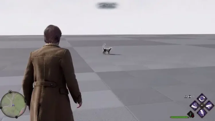 Eredità di Hogwarts: gli sviluppatori hanno creato questo gatto che lancia l’Avada Kedavra