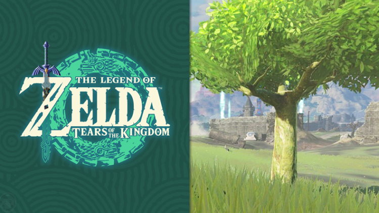 Come riconoscere un albero finto in Zelda: Tears of the Kingdom
