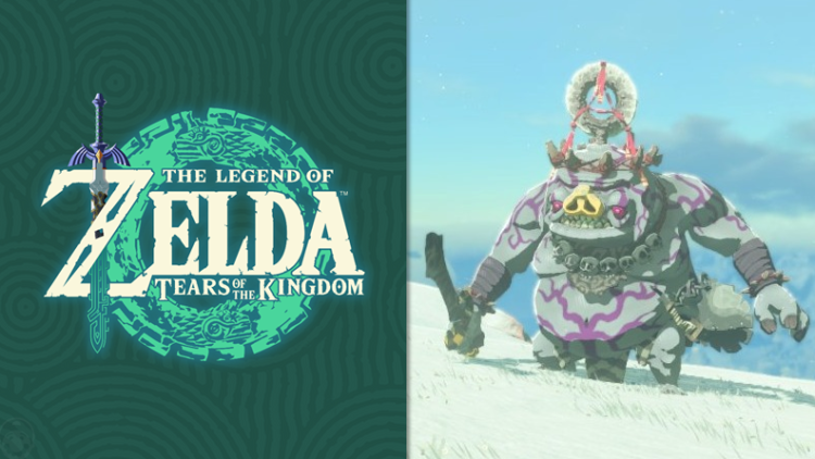 Un trucco utile per eliminare orde di Bokoblin in Zelda: Lacrime del Regno