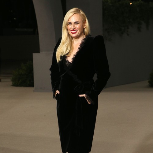 I vicini di Rebel Wilson hanno chiamato la polizia dopo aver acceso i fuochi d’artificio