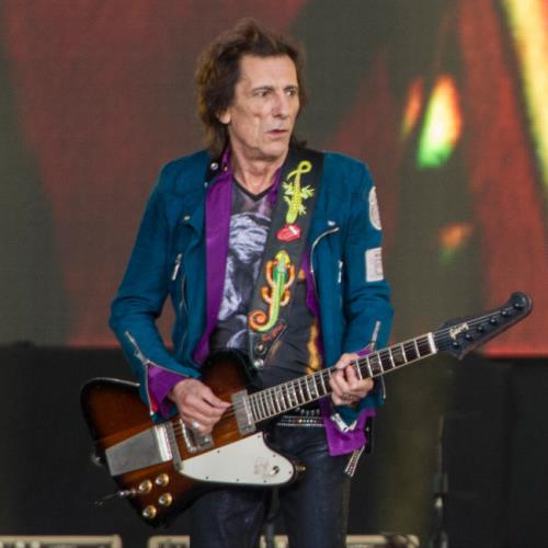 Quale mega star di Hollywood ha convinto il chitarrista di Rolling Stones Ronnie Wood a recitare nel film comico in piedi sulle spalle dei gattini?