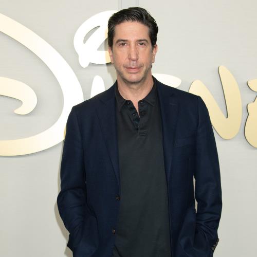 David Schwimmer non poteva ascoltare il tema musicale per molti anni
