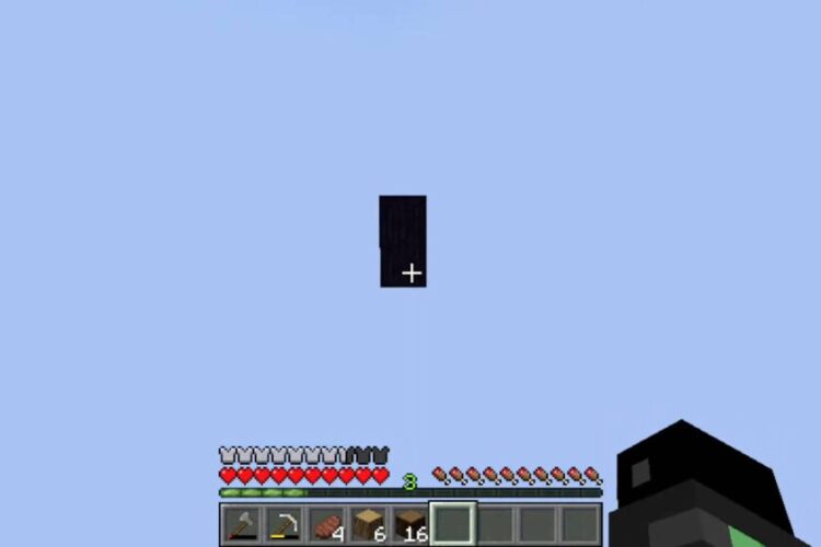 I giocatori di Minecraft sono rimasti intrappolati in una simulazione per mesi. È una storia da Truman Show che ha raccolto quasi un milione di spettatori su Youtube