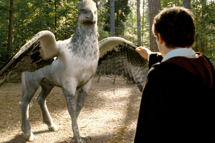 Un incrocio tra Harry Potter e Le Cronache di Narnia: la Disney porterà al cinema una delle saghe fantasy di maggior successo del momento