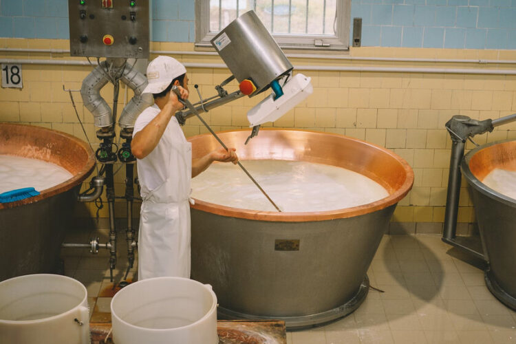 Internet ha scoperto come si fa il parmigiano, con grande sorpresa. Ci sono sfumature che vale la pena conoscere
