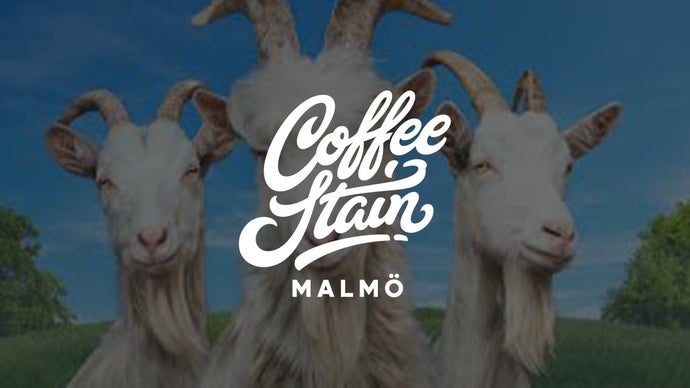 Coffee Stain chiude lo studio di Malmö dopo 17 anni
